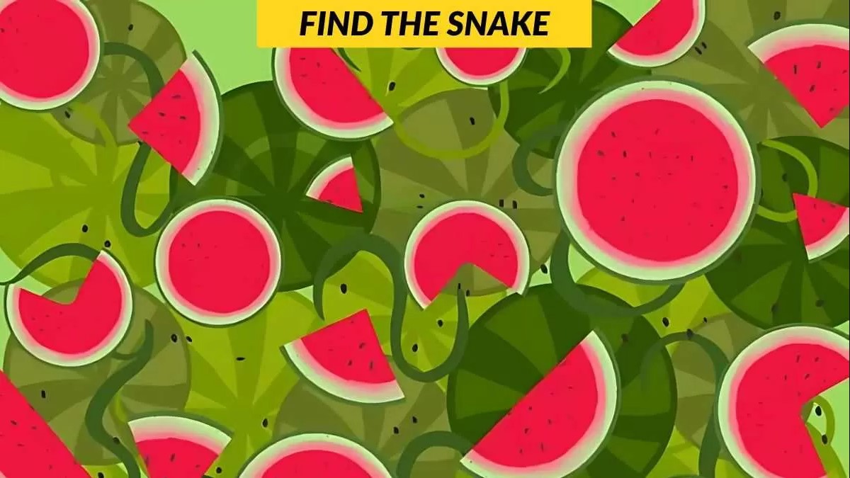 Οπτική ψευδαίσθηση: Μόνο 1 στους 5 ανθρώπους θα βρει το φίδι σε 7 δευτερόλεπτα