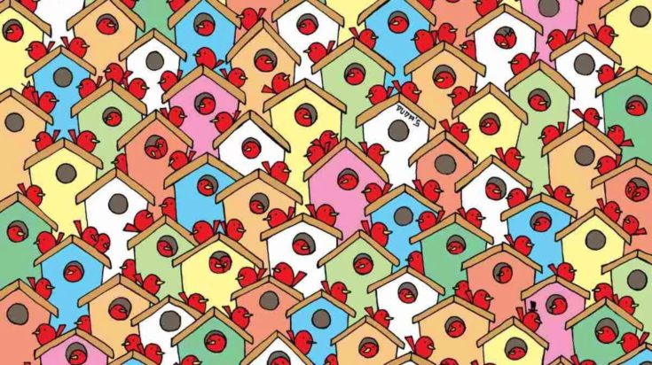 Οπτική ψευδαίσθηση: Μόνο αν έχετε παρατηρητικότητα ντετέκτιβ θα βρείτε 3 μήλα σε 6 δευτερόλεπτα