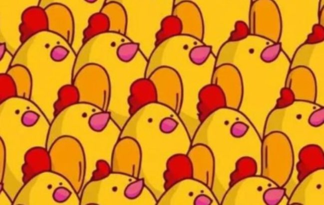 Οπτική ψευδαίσθηση: Μόνο αν έχετε αετίσια ματιά θα βρείτε την ουρά του σκίουρου σε 6 δευτερόλεπτα