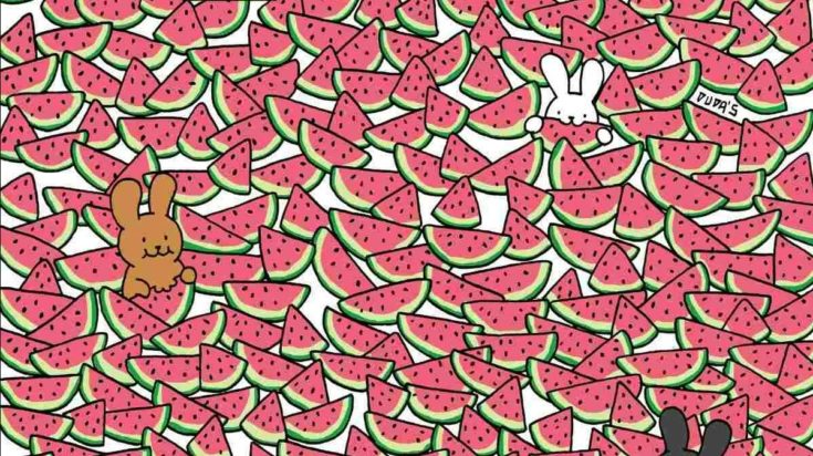 Οπτική ψευδαίσθηση: Μόνο 1 στους 10 ανθρώπους θα βρει τα 5 καρπούζια χωρίς κουκούτσια σε 10 δευτερόλεπτα