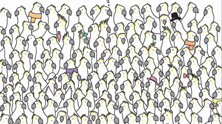 Οπτική ψευδαίσθηση: Μόνο αν έχεις παρατηρητικότητα ντετέκτιβ θα βρεις τα 4 περιστέρια σε 8 δευτερόλεπτα