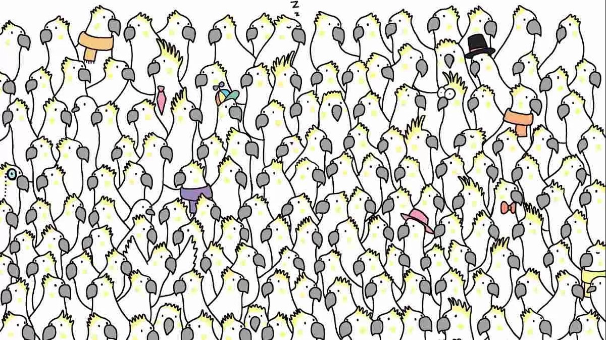 Οπτική ψευδαίσθηση: Μόνο αν έχεις παρατηρητικότητα ντετέκτιβ θα βρεις τα 4 περιστέρια σε 8 δευτερόλεπτα