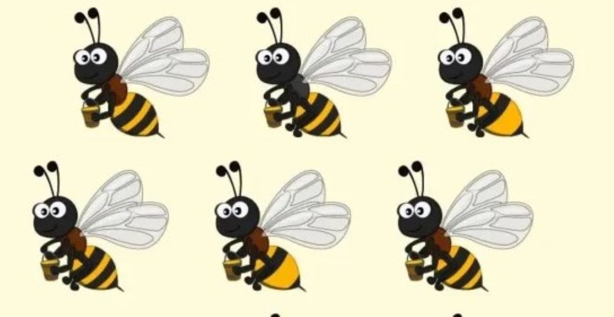 Οπτική ψευδαίσθηση: Μόνο αν έχετε παρατηρητικότητα ντετέκτιβ θα βρείτε την διαφορετική μέλισσα σε 8 δευτερόλεπτα