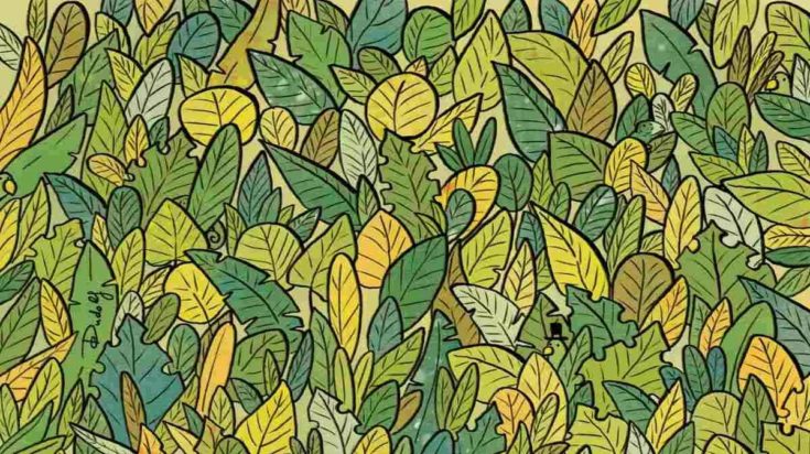 Οπτική ψευδαίσθηση: Μόνο αν έχεις αετίσια ματιά θα βρεις τους 3 χαμαιλέοντες σε 8 δευτερόλεπτα