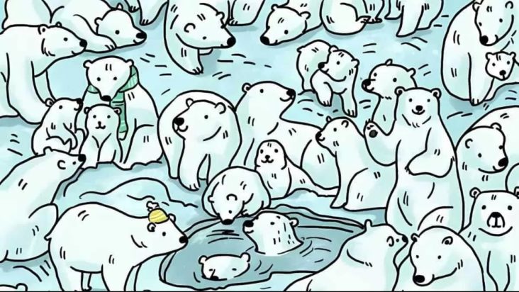 Οπτική ψευδαίσθηση: Μόνο το 3% των ανθρώπων θα βρει την φώκια σε 7 δευτερόλεπτα