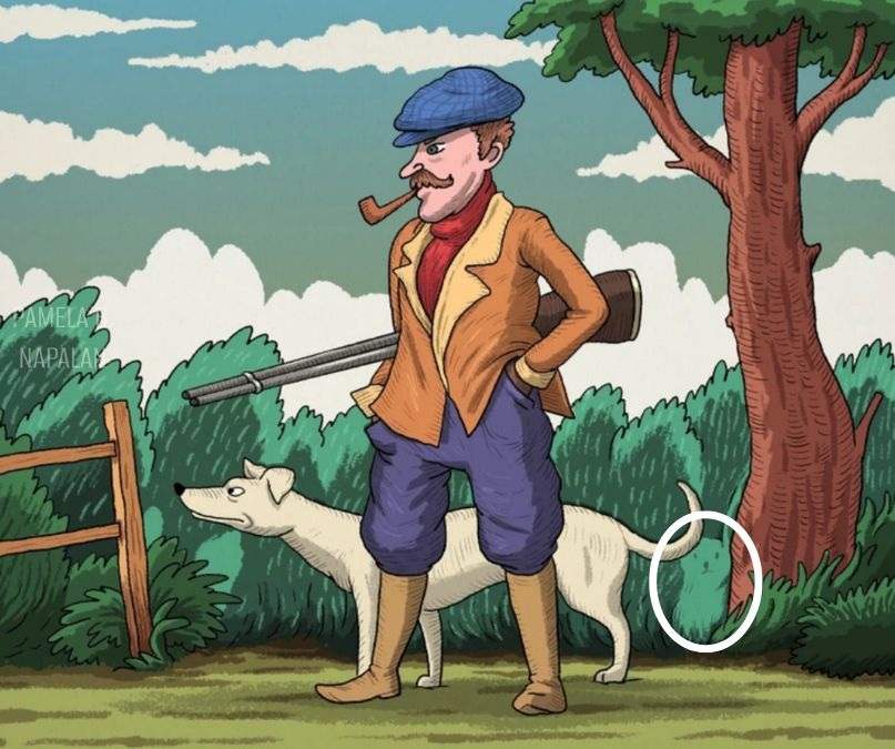 Οπτική ψευδαίσθηση, Κουνέλι