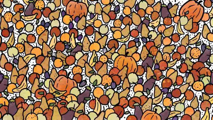 Οπτική ψευδαίσθηση, πουλάκια