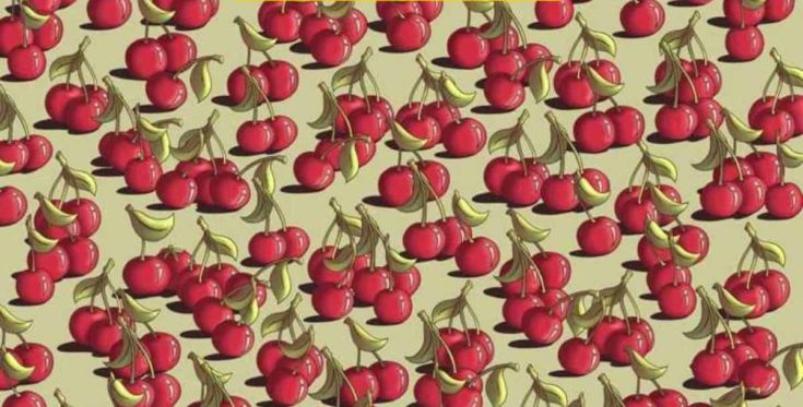 Οπτική ψευδαίσθηση, ντομάτα