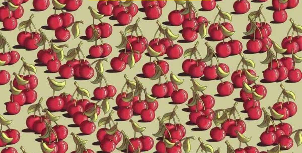 Οπτική ψευδαίσθηση, ντομάτα