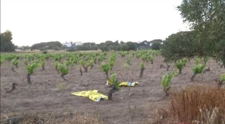 ΡΑΦΗΝΑ ΔΟΛΟΦΟΝΙΑ