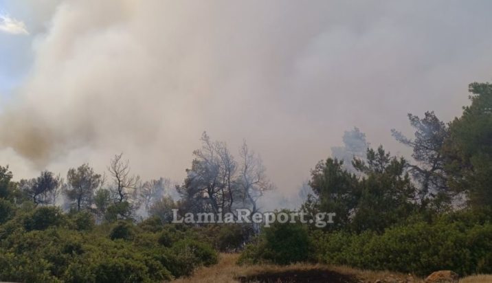 φωτιά, Ριτσώνα, Εύβοια