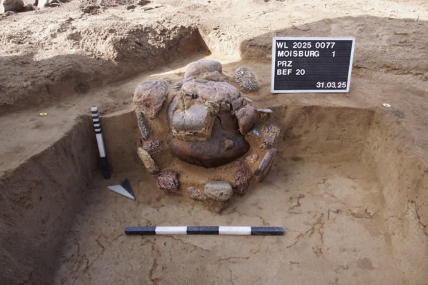 Μία από τις τεφροδόχους που ανακαλύφθηκαν. Φωτογραφία: Archäologisches Museum Hamburg (AMH)