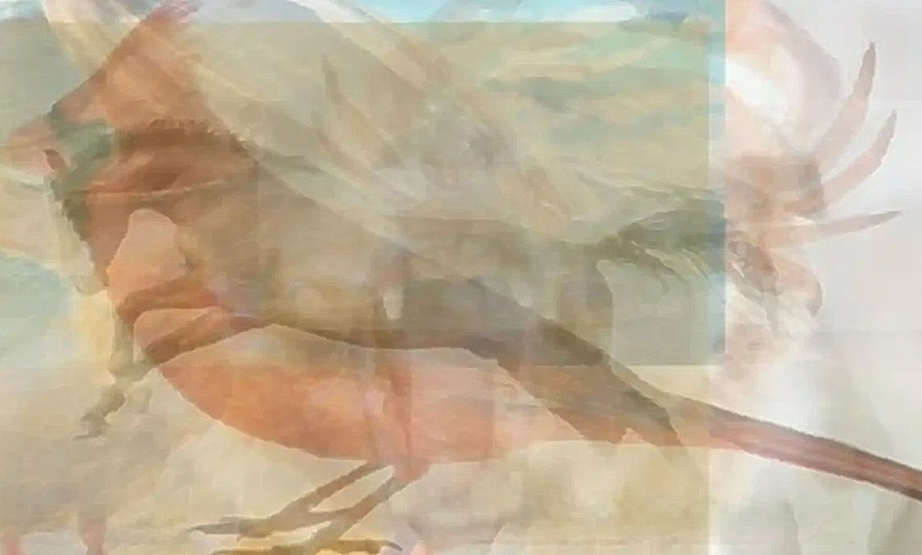 Τεστ προσωπικότητας