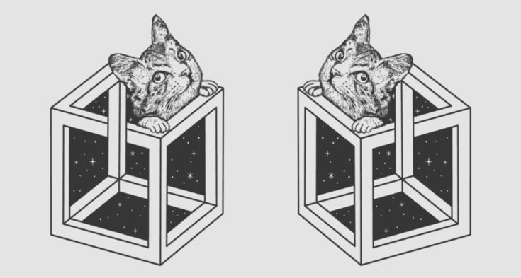 Τεστ προσωπικότητας: Αυτό που βλέπετε πρώτα στην εικόνα αποκαλύπτει πόσο «Ζεν» είστε