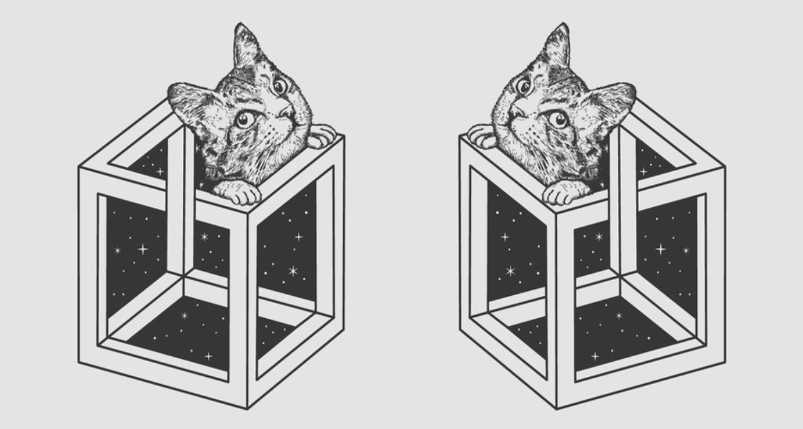 Τεστ προσωπικότητας: Αυτό που βλέπετε πρώτα στην εικόνα αποκαλύπτει πόσο «Ζεν» είστε