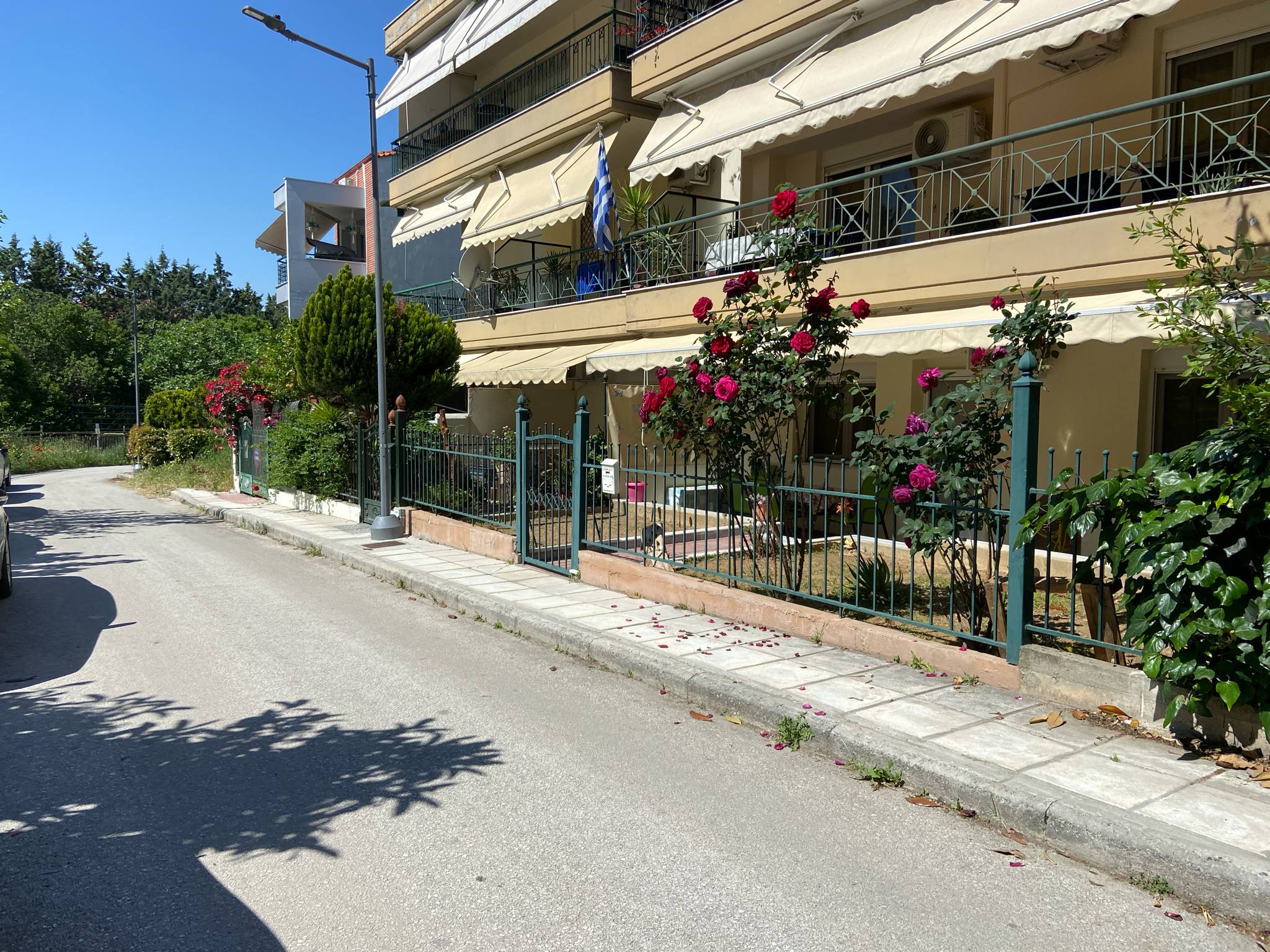 Θεσσαλονίκη: Προσωπικές διαφορές μεταξύ κουμπάρων πίσω από το επεισόδιο με τους πυροβολισμούς – «Με απείλησε με την καραμπίνα»