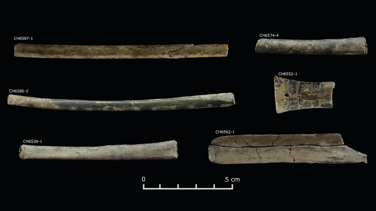 Τα οστέινα σωληνάρια. Φωτογραφία: Giuseppe Alva Valverde