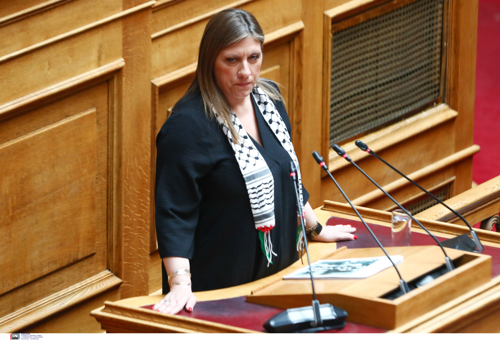 Ζωή Κωνσταντοπούλου, Βουλή, Παλαιστίνη, μαντίλα