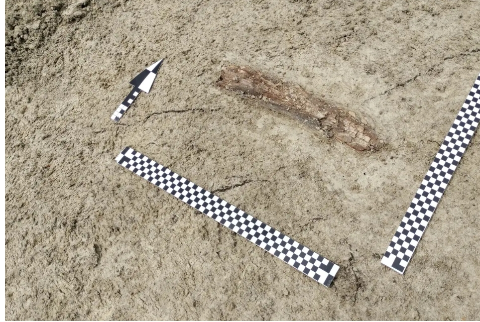 Τα ευρήματα από το σημείο της ανακάλυψης. Φωτογραφία: Περιφερειακή Υπηρεσία Μνημείων του Λούμπλιν