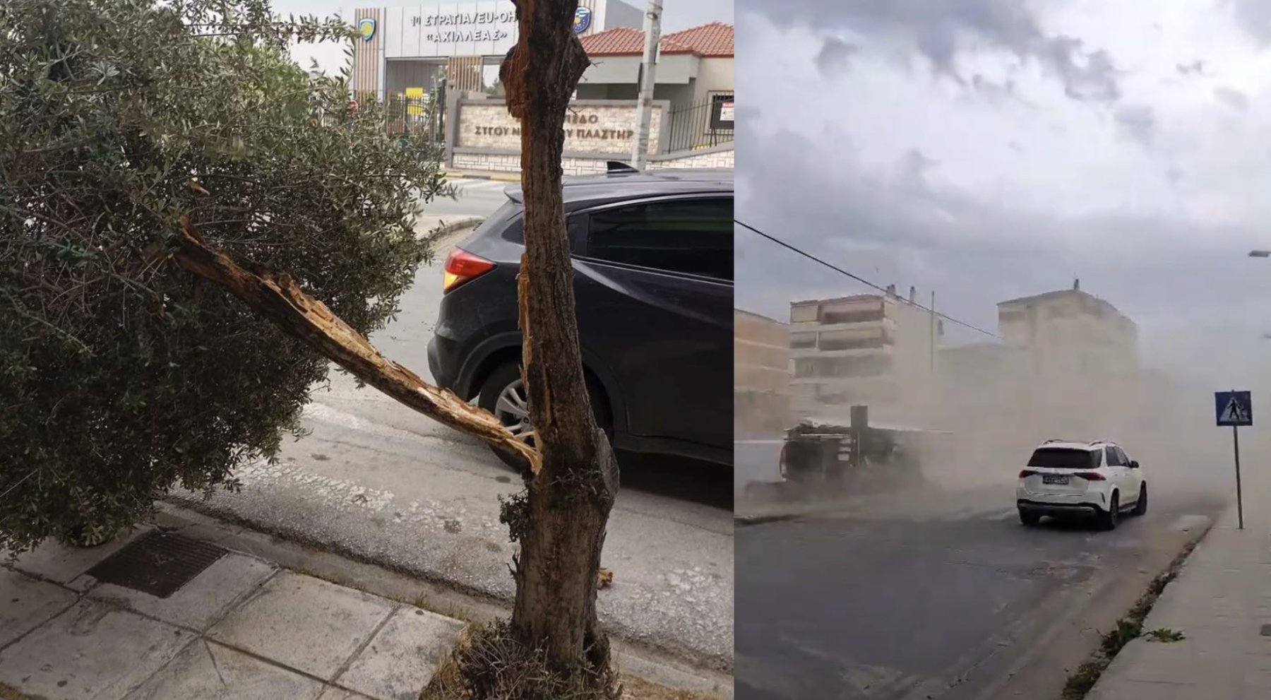 Λάρισα: Πτώσεις δέντρων εξαιτίας των ισχυρών ανέμων – Υλικές ζημιές και σε αυτοκίνητα – Δείτε ΦΩΤΟ και ΒΙΝΤΕΟ