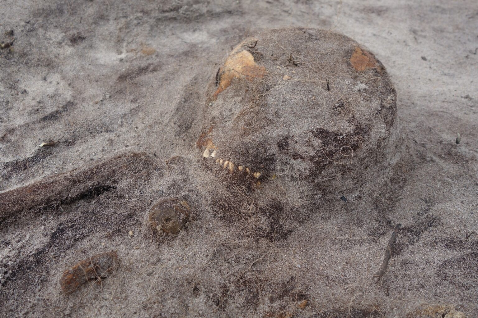 Κοντά στο κρανίο, ανακαλύφθηκε ένα μενταγιόν σε σχήμα δαχτυλιδιού, το οποίο ενδεχομένως να κρεμιόταν στο αυτή ή να ήταν διακοσμητικό καλύμματος για το κεφάλι. Φωτογραφία: The Arctic University Museum of Norway, UiT (Facebook)