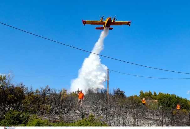 Φωτιά, Θεσσαλονίκη, Ευκαρπία