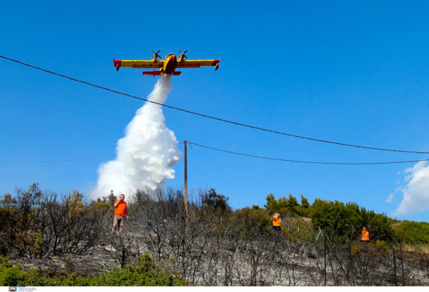 Φωτιά, Θεσσαλονίκη, Ευκαρπία