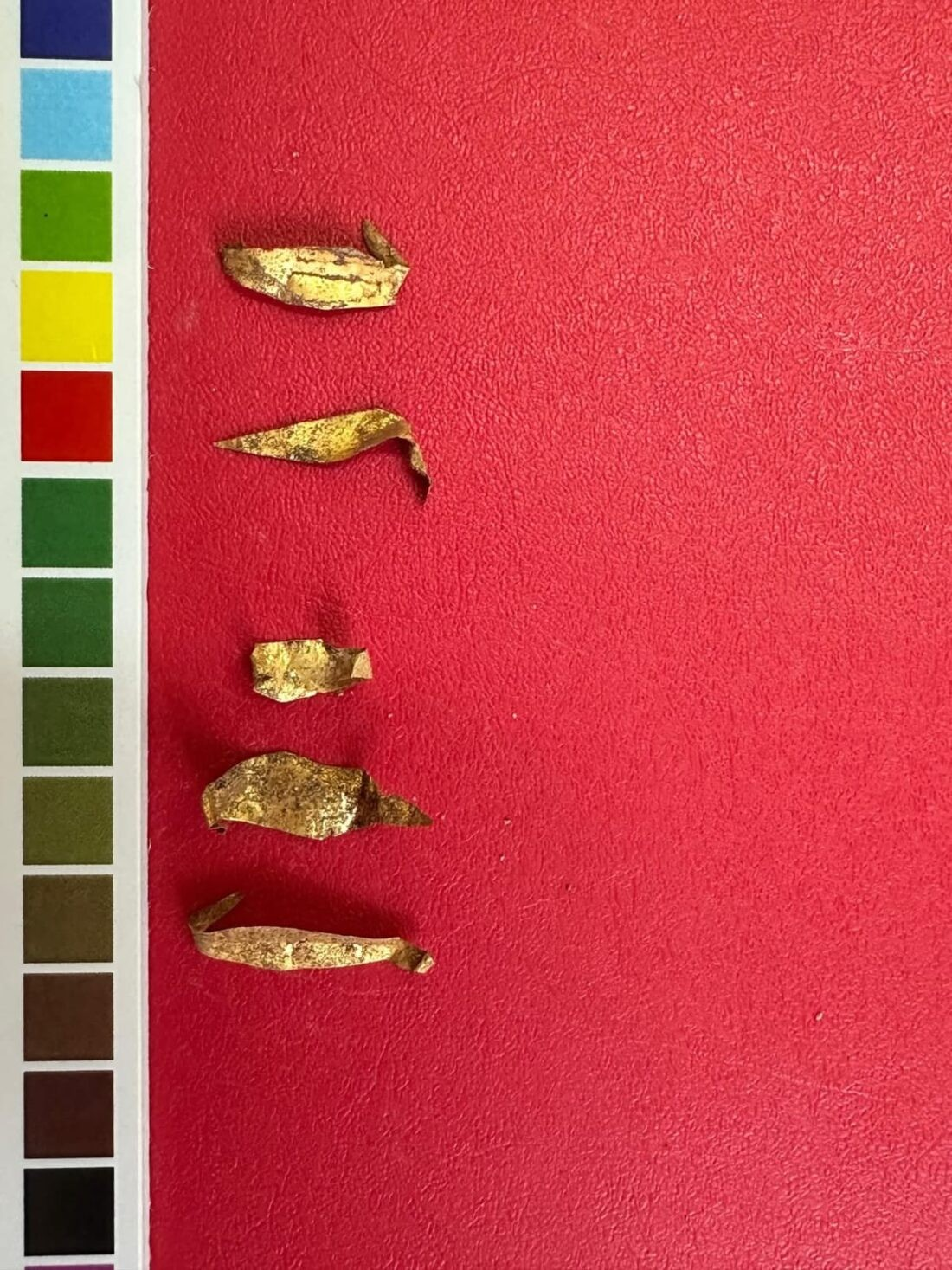 Κομμάτια από χρυσά φύλλα. Φωτογραφία: Τμήμα αρχαιοτήτων και μουσείων της κατεχόμενης Κύπρου