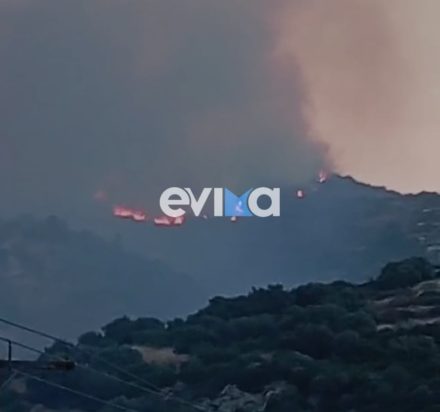 Φωτιά στην Εύβοια