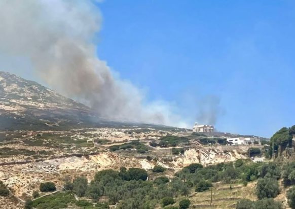 ΝΑΞΟΣ ΚΙΝΙΔΑΡΟΣ