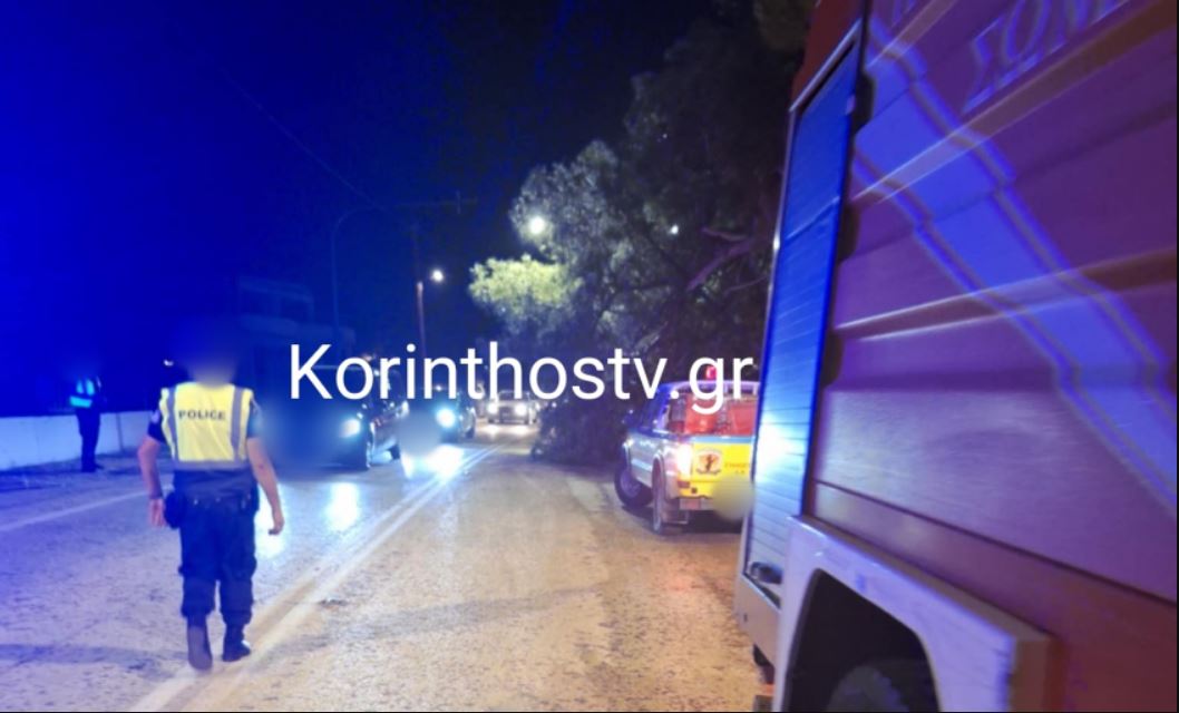 ΚΕΧΡΙΕΣ ΔΕΝΤΡΟ