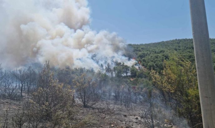 Φωτιά στον Μαραθώνα
