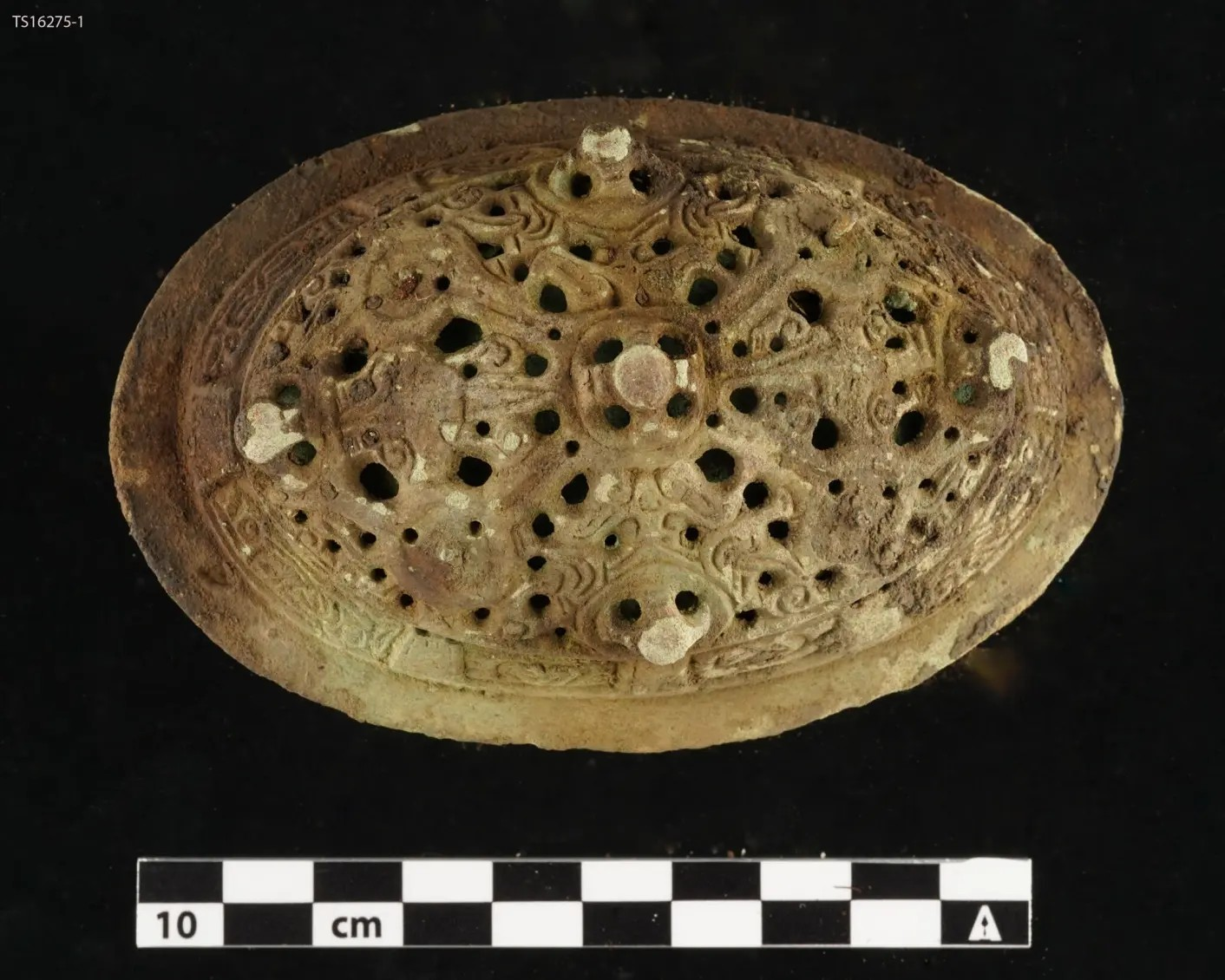 Μία από τις οβάλ πόρπες, εξακολουθεί να υπόκειται σε εργασίες συντήρησης. Φωτογραφία: Ida Fløystad Brevig – The Arctic University Museum of Norway, UiT