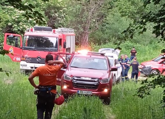 Αρκούδα δράμα