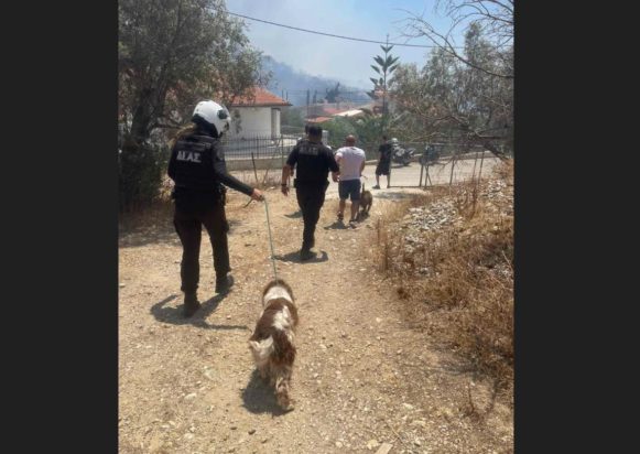 ΦΩΤΙΑ ΠΑΛΙΑ ΦΩΚΑΙΑ ΑΣΤΥΝΟΜΙΑ