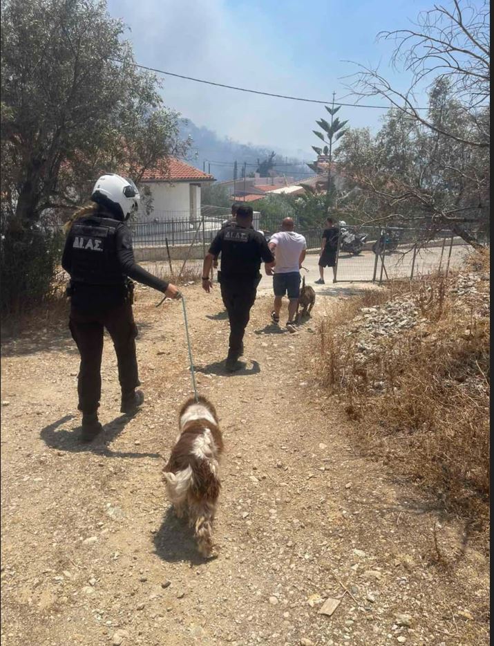 ΦΩΤΙΑ ΠΑΛΙΑ ΦΩΚΑΙΑ ΑΣΤΥΝΟΜΙΑ