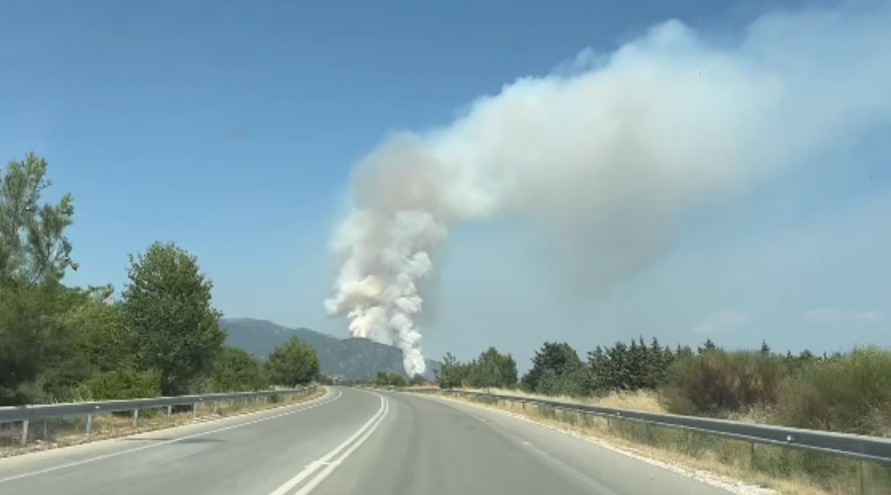 Φωτιά στην Δράμα: Ενισχύθηκαν οι πυροσβεστικές δυνάμεις – ΦΩΤΟ και ΒΙΝΤΕΟ 