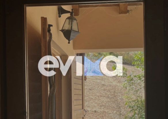 Εύβοια: Φίδι σε σπίτι στην Αγία Άννα
