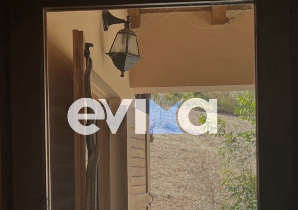 Εύβοια: Φίδι σε σπίτι στην Αγία Άννα