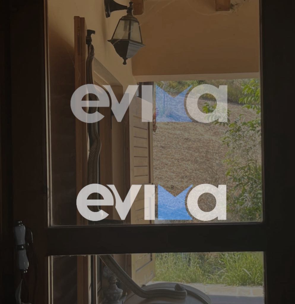 Εύβοια: Φίδι σε σπίτι στην Αγία Άννα