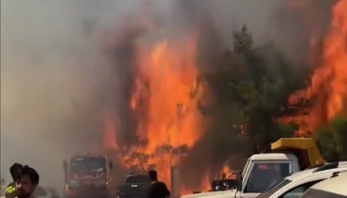 Πύρινη λαίλαπα σε πολλά μέτωπα στην Τουρκία – Δεκάδες πυρκαγιές τις τελευταίες 48 ώρες, ζημιές σε σπίτια στην Σμύρνη – ΒΙΝΤΕΟ