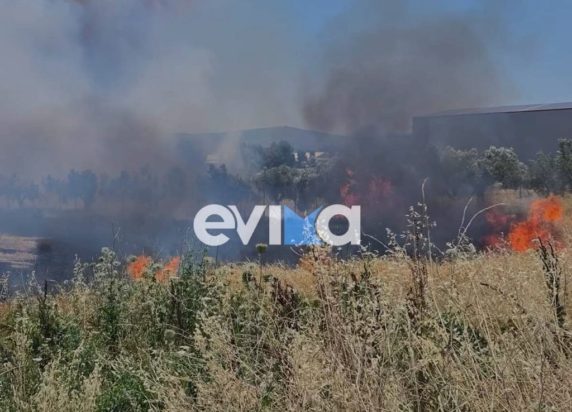 Φωτιά στην Ριτσώνα