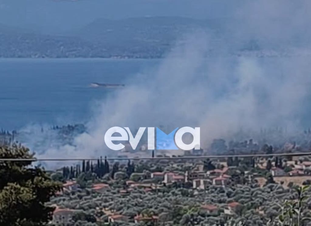 Φωτιά στην Εύβοια: Μήνυμα από το 112 – «Παραμείνετε σε ετοιμότητα»