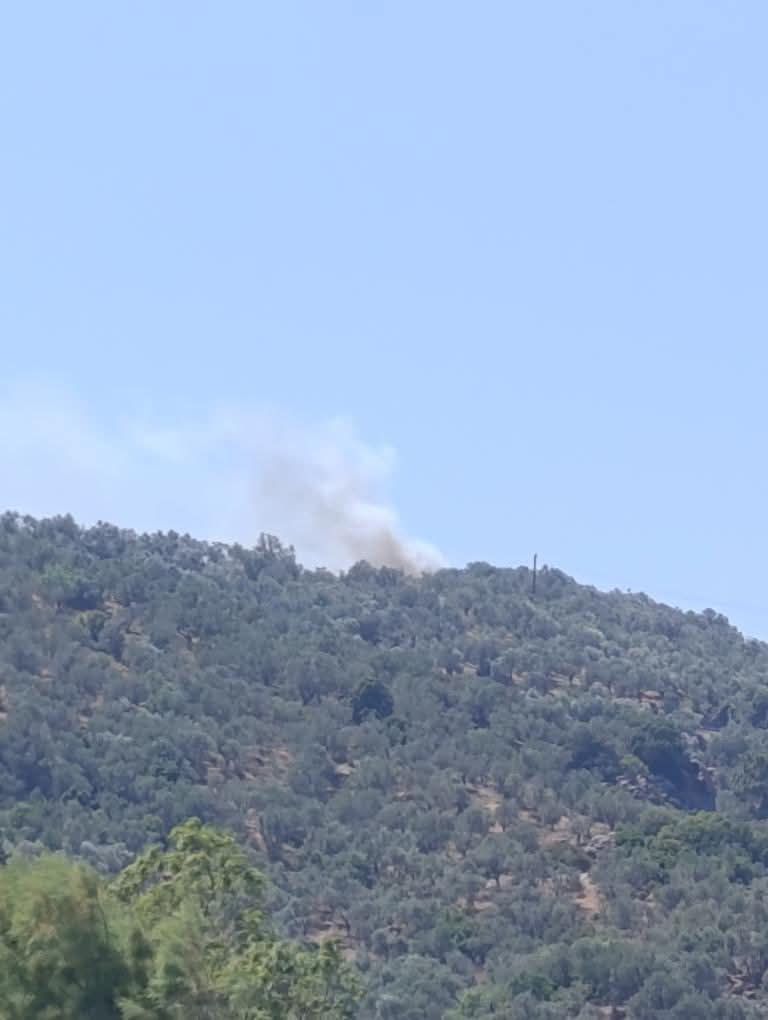 Φωτιά Λέσβος