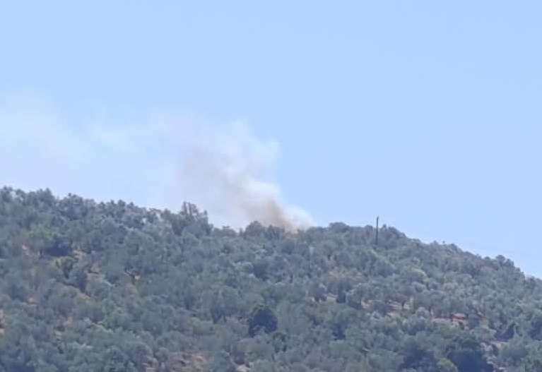 Φωτιά Λέσβος