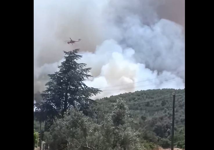 Φωτιά στον Μαραθώνα: «Θεωρώ πως θα καταφέρουμε να την ελέγξουμε» λέει ο αντιδήμαρχος στο enikos.gr – Πού κατευθύνεται η πυρκαγιά