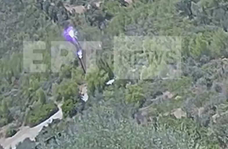 Μαραθώνας: Βίντεο ντοκουμέντο από την μεγάλη φωτιά – Από βραχυκύκλωμα σε κολώνα φωτισμού κάηκαν 350 στρέμματα δάσους