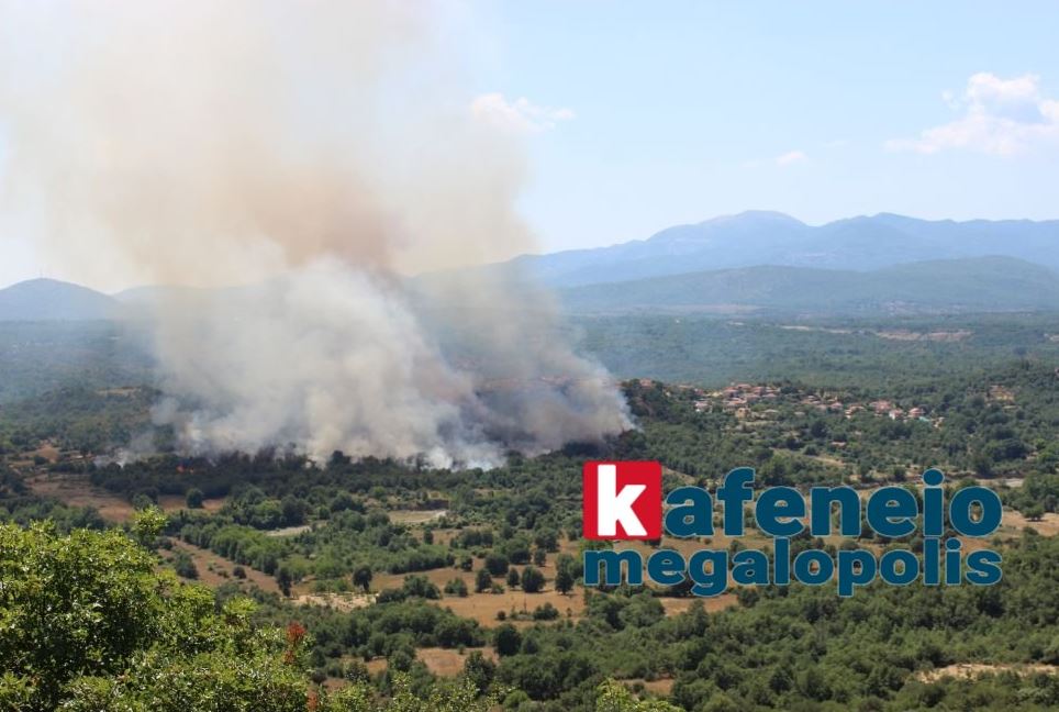 ΦΩΤΙΑ ΜΕΓΑΛΟΠΟΛΗ