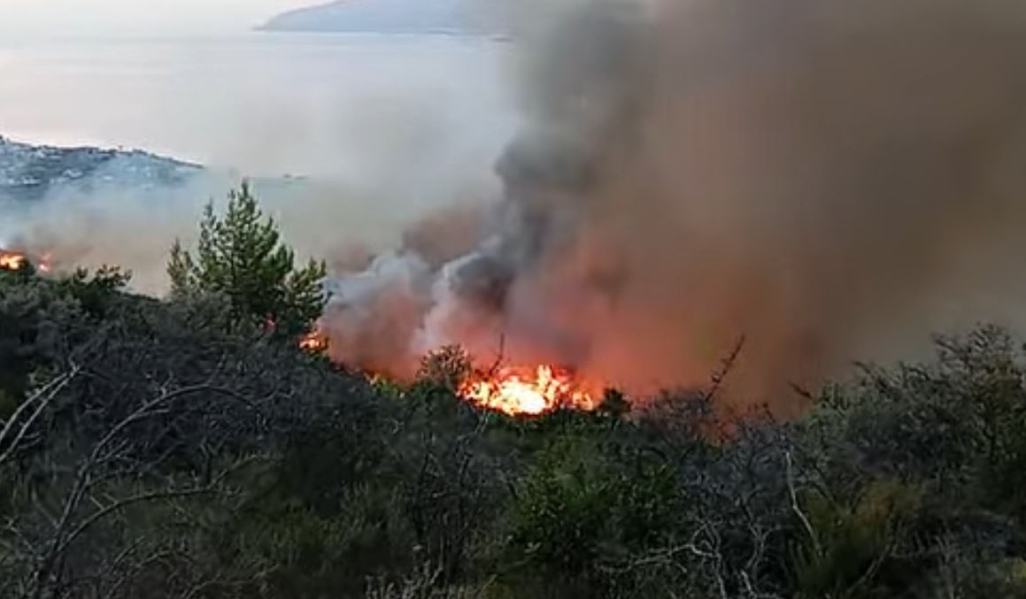 Φωτιά στη Ναύπακτο: «Αν δεν σημειωθεί κάποια αναζωπύρωση, σε λίγη ώρα θα τεθεί υπό έλεγχο» λέει ο αντιπεριφερειάρχης Αιτωλοακαρνανίας