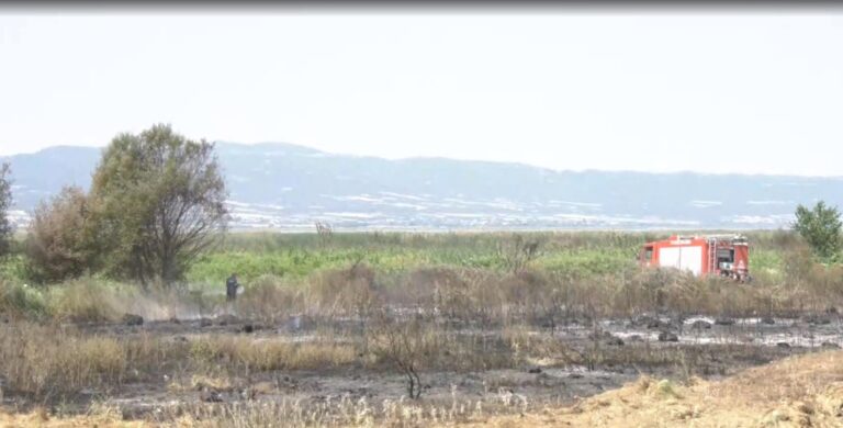 Φωτιές στη Θεσσαλονίκη: Ζημιές σε αγροτικές καλλιέργειες και εγκαταστάσεις – Αγωνία για αναζωπυρώσεις